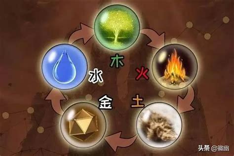 五行木太多|八字里木太多 八字木太多该怎么化解